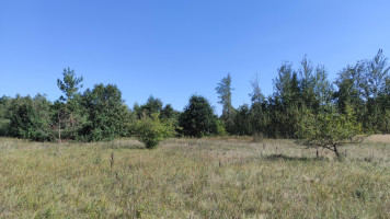 Parduodamas sklypas Paviešinčių k., Kupiškio r. sav., 12.00 a ploto 2