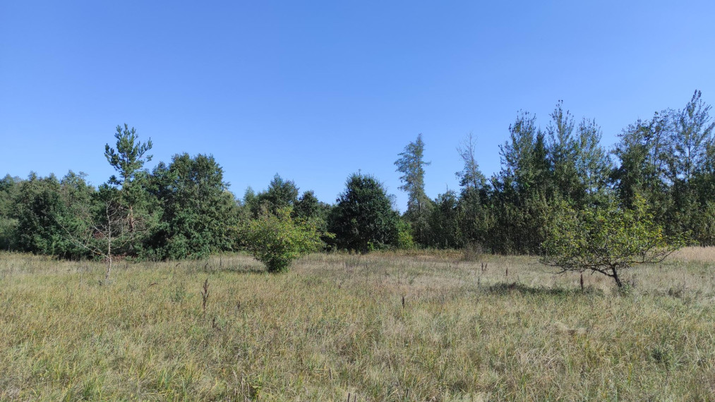 Parduodamas sklypas Paviešinčių k., Kupiškio r. sav., 12.00 a ploto 2