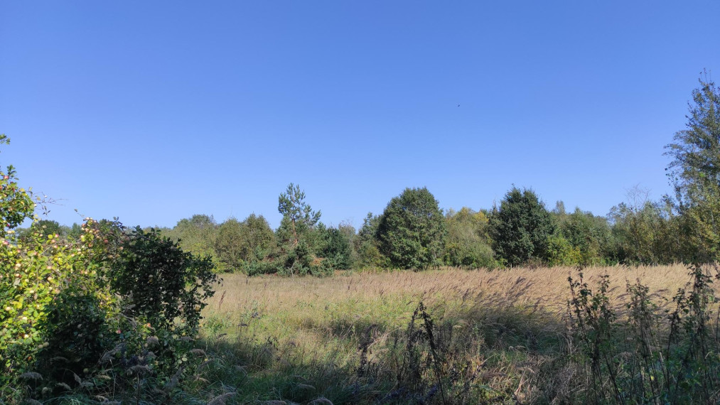 Parduodamas sklypas Paviešinčių k., Kupiškio r. sav., 12.00 a ploto 3