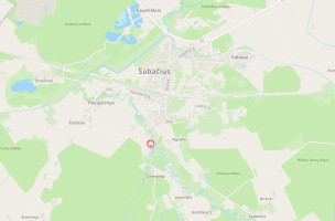 Parduodamas sklypas Paviešinčių k., Kupiškio r. sav., 12.00 a ploto 5