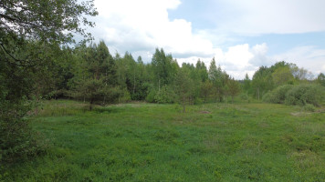 Parduodamas sklypas Žalioji g., Bulotų k., Jonavos r. sav., 22.52 a ploto 2