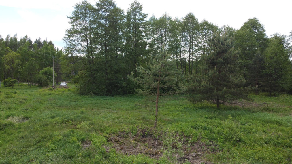 Parduodamas sklypas Žalioji g., Bulotų k., Jonavos r. sav., 22.52 a ploto 5