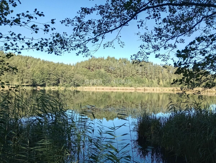 Parduodamas  sklypas Trukiškio g., Gailiūnų k., Druskininkų sav., 630 a ploto 10