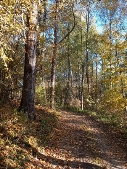 Parduodamas  sklypas Trukiškio g., Gailiūnų k., Druskininkų sav., 630 a ploto 17