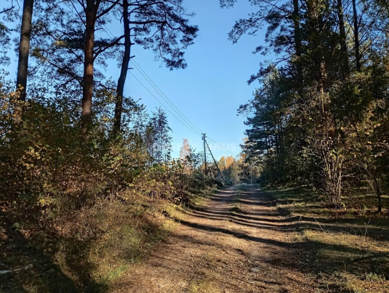 Parduodamas  sklypas Trukiškio g., Gailiūnų k., Druskininkų sav., 630 a ploto 16