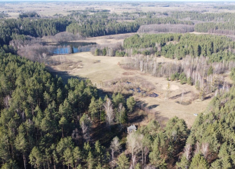 Parduodamas  sklypas Trukiškio g., Gailiūnų k., Druskininkų sav., 630 a ploto