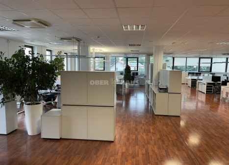 Nuomojamos administracinės patalpos Pylimo g., Senamiestis, Vilniaus m., Vilniaus m. sav., 450 m2 ploto