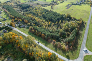 Parduodamas  sklypas Pavilkijo k., Šakių r. sav., 900 a ploto 10