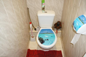 Parduodamas namas Ąžuolų g., Švedriškės k., Ignalinos r. sav., 76.00 m² ploto 3 kambariai 15