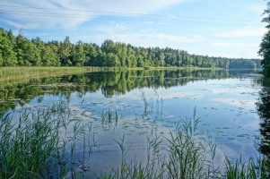 Parduodamas namas Ąžuolų g., Švedriškės k., Ignalinos r. sav., 76.00 m² ploto 3 kambariai 21