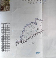 Parduodamas sklypas Nedėjos g., Užtakų k., Kaišiadorių r. sav., 120 a ploto 19
