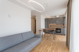 Nuomojamas butas Krokuvos g., Šnipiškės, Vilniaus m., Vilniaus m. sav., 31 m2 ploto, 1 kambariai 7