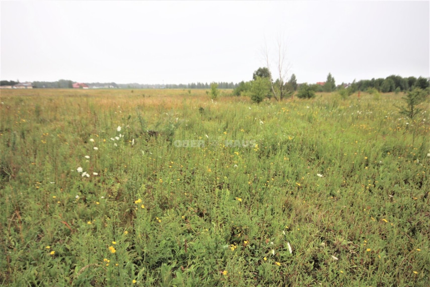 Parduodamas namų valdos paskirties sklypas Sodų g., Radailių k., Klaipėdos r. sav., 25 a ploto 5