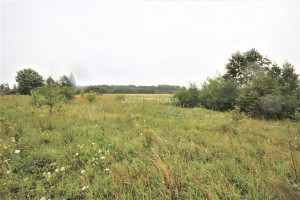 Parduodamas namų valdos paskirties sklypas Sodų g., Radailių k., Klaipėdos r. sav., 25 a ploto 6