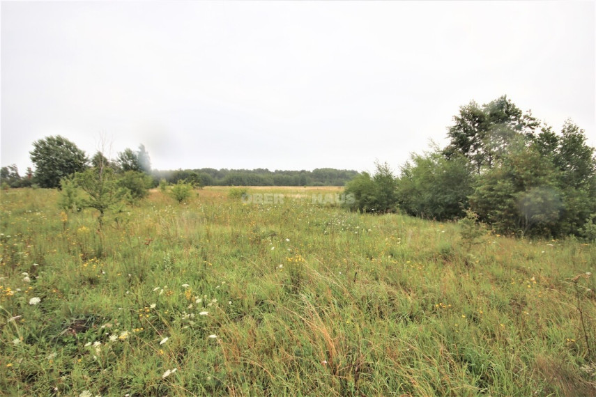 Parduodamas namų valdos paskirties sklypas Sodų g., Radailių k., Klaipėdos r. sav., 25 a ploto 6