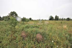 Parduodamas namų valdos paskirties sklypas Sodų g., Radailių k., Klaipėdos r. sav., 25 a ploto 7