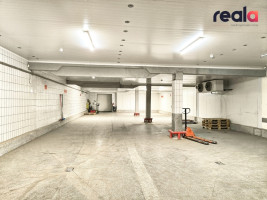 Parduodamos patalpos Švyturio g., Kalnuvėnų k., 627.48 kv.m ploto 5