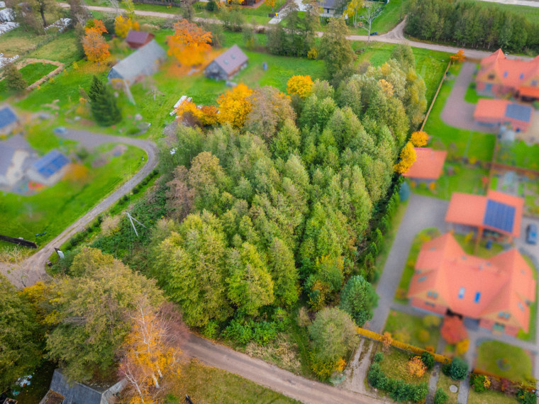 Parduodamas kitos paskirties sklypas Žibų g., Šventoji, Palangos m., Palangos m. sav., 20 a ploto 4