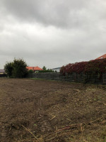 Parduodamas sklypas Smeltaitės g., Trušelių k., Klaipėdos r. sav., 22.20 a ploto 3