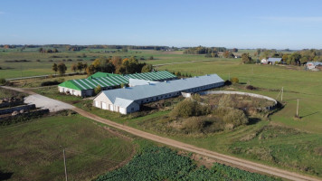 Parduodamos gamybinės, kitos paskirties, sandėliavimo patalpos Prienų r. sav., Mieleiškampio k., Plento g., 3339.68 m2 ploto 10