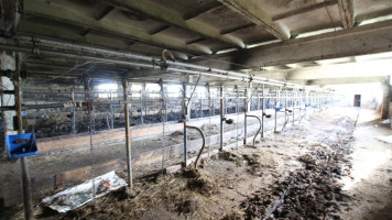 Parduodamos gamybinės, kitos paskirties, sandėliavimo patalpos Prienų r. sav., Mieleiškampio k., Plento g., 3339.68 m2 ploto 22