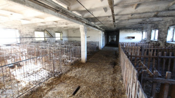 Parduodamos gamybinės, kitos paskirties, sandėliavimo patalpos Prienų r. sav., Mieleiškampio k., Plento g., 3339.68 m2 ploto 23
