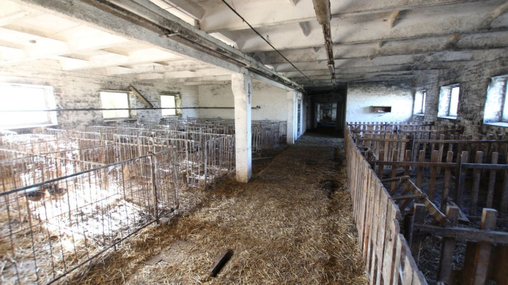 Parduodamos gamybinės, kitos paskirties, sandėliavimo patalpos Plento g., Mieleiškampio k., Prienų r. sav., 3339.68 m2 ploto 23