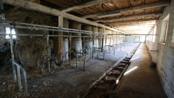 Parduodamos gamybinės, kitos paskirties, sandėliavimo patalpos Prienų r. sav., Mieleiškampio k., Plento g., 3339.68 m2 ploto 25