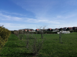 Parduodamas namų valdos paskirties sklypas Šaltinio g. , Dargužių k., Klaipėdos r. sav., 58.97 a ploto 16
