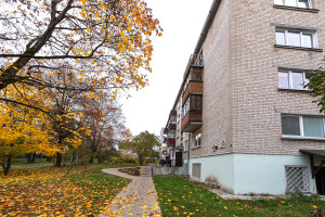 Parduodamas butas Vilniaus g., Grigiškės, Vilniaus m., Vilniaus m. sav., 48.97 m2 ploto, 3 kambariai 31