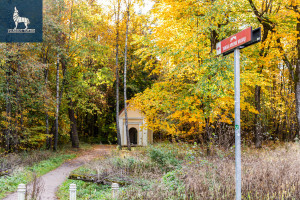 Nuomojamos administracinės, kitos paskirties patalpos Ateities g., Baltupiai, Vilniaus m., Vilniaus m. sav., 142 m2 ploto 15