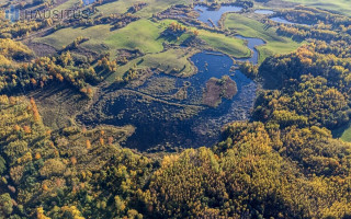 Parduodamas sklypas Sarickų k., 2497.44 a ploto 8