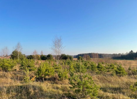 Parduodamas  sklypas Dėdoniškių g., Mickūnų mstl., Vilniaus r. sav., 190 a ploto