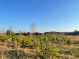 Parduodamas  sklypas Dėdoniškių g., Mickūnų mstl., Vilniaus r. sav., 190 a ploto 1
