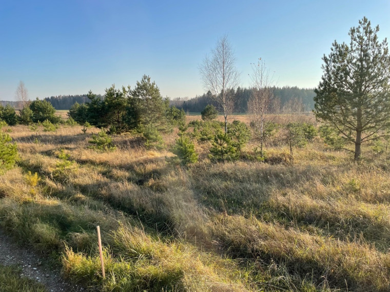 Parduodamas sklypas Dėdoniškių g., Mickūnų mstl., Vilniaus r. sav., 190 a ploto 4