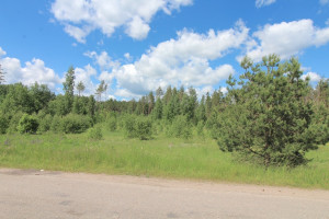 Parduodamas  sklypas Dėdoniškių g., Mickūnų mstl., Vilniaus r. sav., 25 a ploto 1