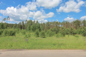 Parduodamas  sklypas Dėdoniškių g., Mickūnų mstl., Vilniaus r. sav., 25 a ploto 3
