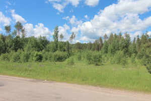 Parduodamas  sklypas Dėdoniškių g., Mickūnų mstl., Vilniaus r. sav., 25 a ploto 4
