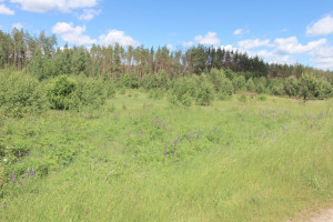 Parduodamas  sklypas Dėdoniškių g., Mickūnų mstl., Vilniaus r. sav., 25 a ploto 5