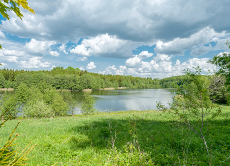 Parduodamas namas Senojo Daugėliškio k., Ignalinos r. sav., 108 m2 ploto, 1 aukštai