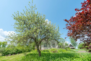 Parduodamas namas Senojo Daugėliškio k., Ignalinos r. sav., 108 m2 ploto, 1 aukštai 10