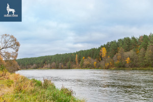 Parduodamas kitos paskirties sklypas Ožkinių g., Ožkiniai, Vilniaus m., Vilniaus m. sav., 15.09 a ploto 9