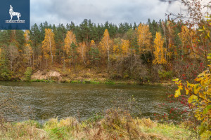 Parduodamas kitos paskirties sklypas Ožkinių g., Ožkiniai, Vilniaus m., Vilniaus m. sav., 15.09 a ploto 10