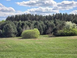 Parduodamas namas Pašilių k., Molėtų r. sav., 105.00 m² ploto 3 kambariai 21