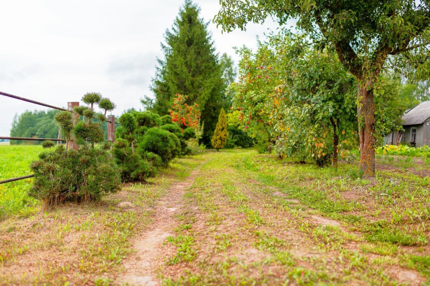 Parduodamas sklypas Šiaulių r. sav., Kuršėnų m., Laukų g.21, 30 a ploto 3