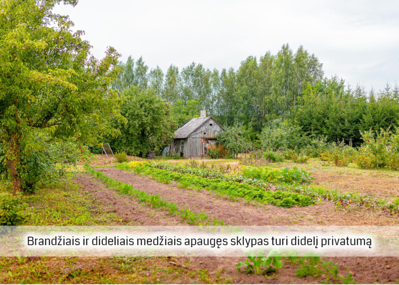 Parduodamas sklypas Šiaulių r. sav., Kuršėnų m., Laukų g.21, 30 a ploto 4