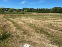 Parduodamas  sklypas Pangesų k., Klaipėdos r. sav., 17 a ploto 5