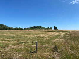 Parduodamas  sklypas Pangesų k., Klaipėdos r. sav., 17 a ploto 6