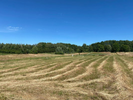 Parduodamas  sklypas Pangesų k., Klaipėdos r. sav., 17 a ploto 7