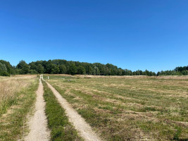 Parduodamas  sklypas Pangesų k., Klaipėdos r. sav., 17 a ploto 8